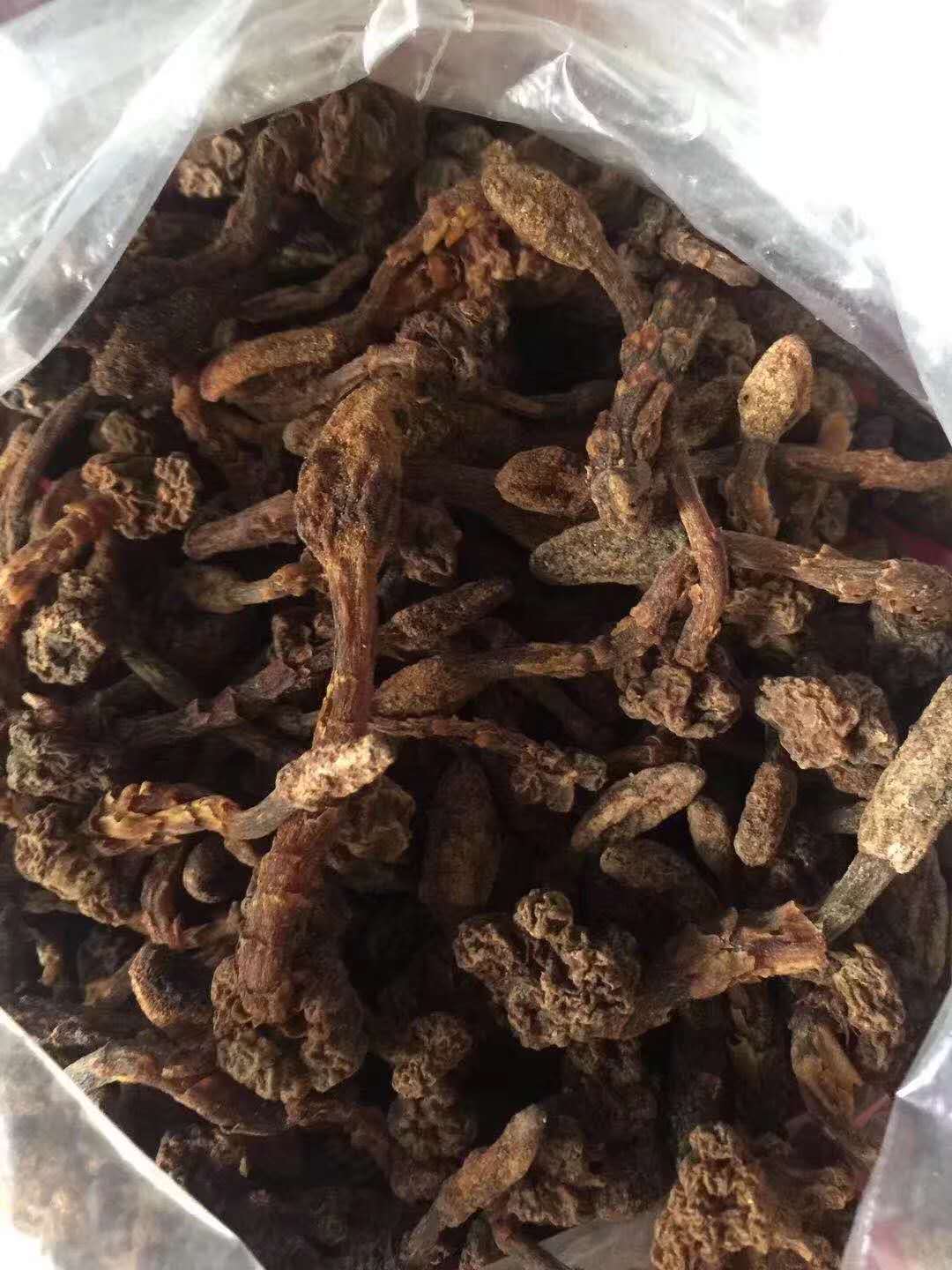 微信图片_20180321080420.jpg