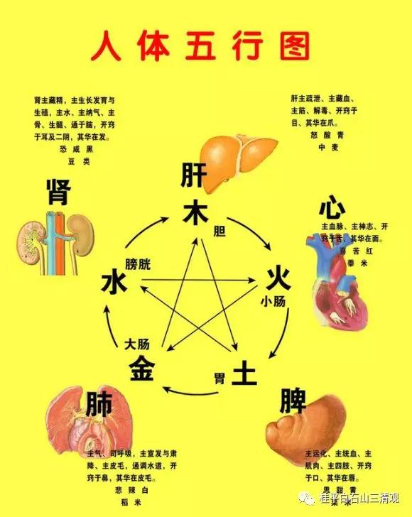微信图片_20181121093722.jpg