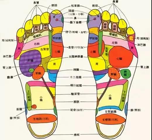 微信图片_20181121094628.jpg