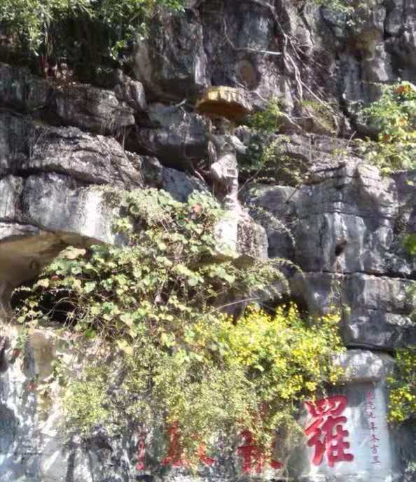 微信图片_20181128080755.jpg