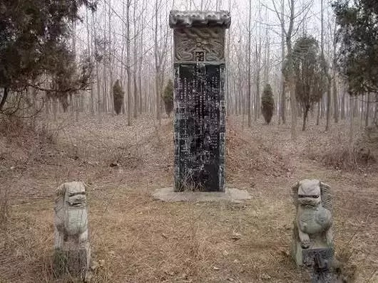 14844567518712782.JPG