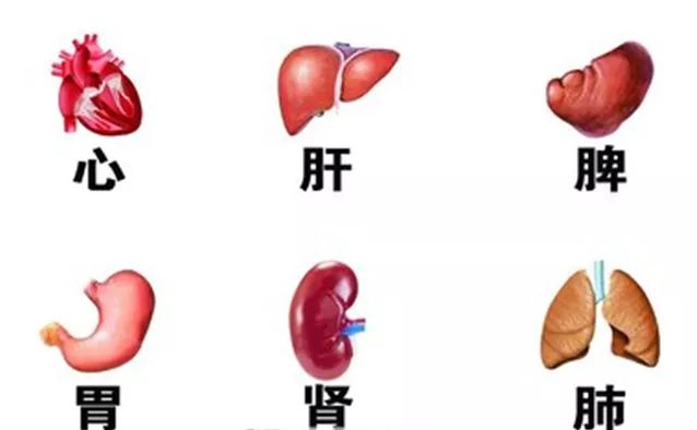 微信图片_20190604133152.jpg