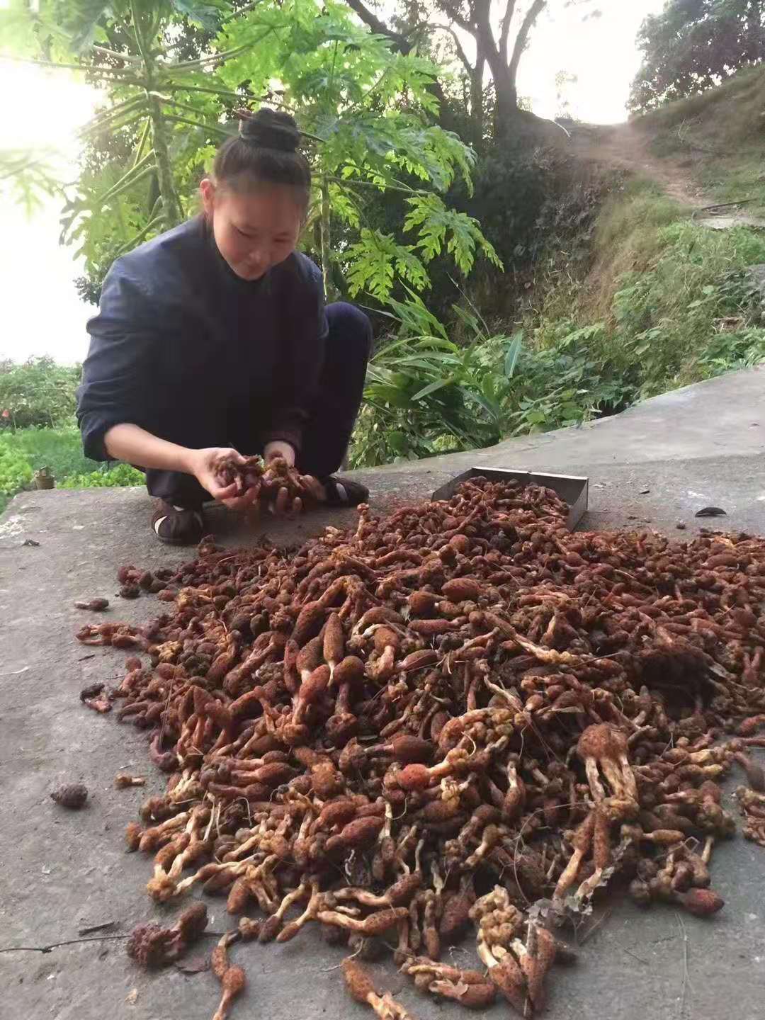 微信图片_20190826075442.jpg