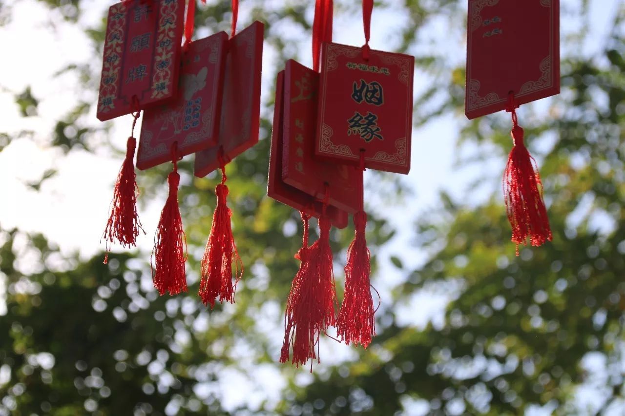 微信图片_20190828091157.jpg
