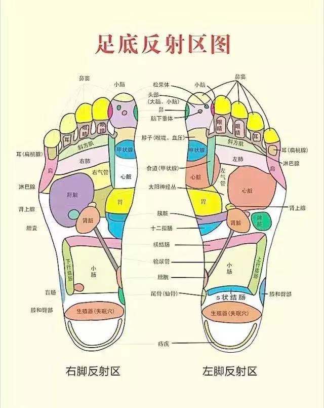 微信图片_20201118083915.jpg