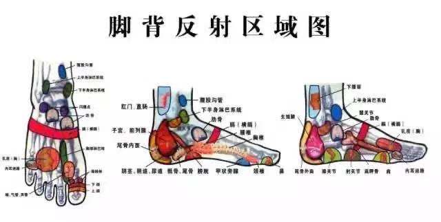 微信图片_20201118083919.jpg