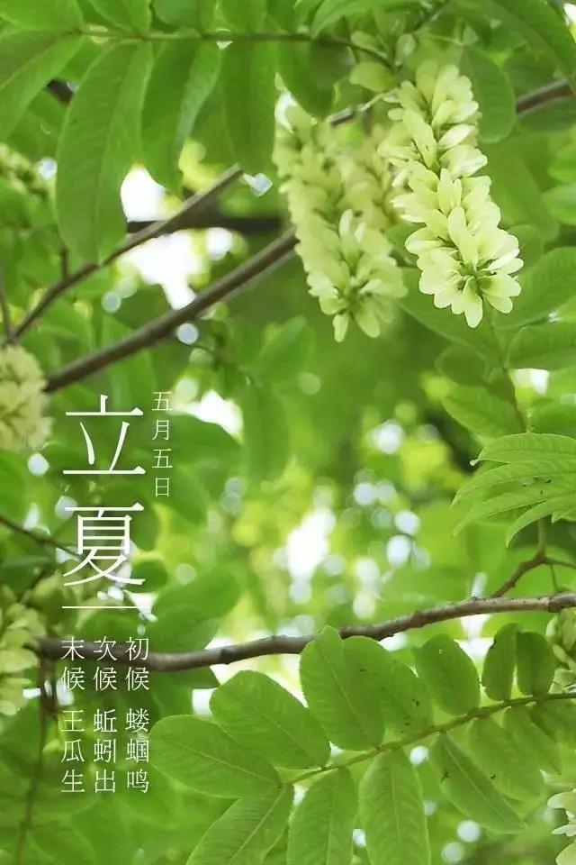 微信图片_20210505090910.jpg