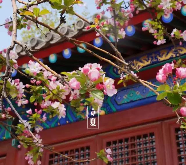 微信图片_20210505090921.jpg